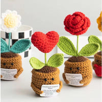 Emotional Support Plant – Seoul Edition